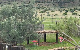 Sanctuary Life Guest Farm